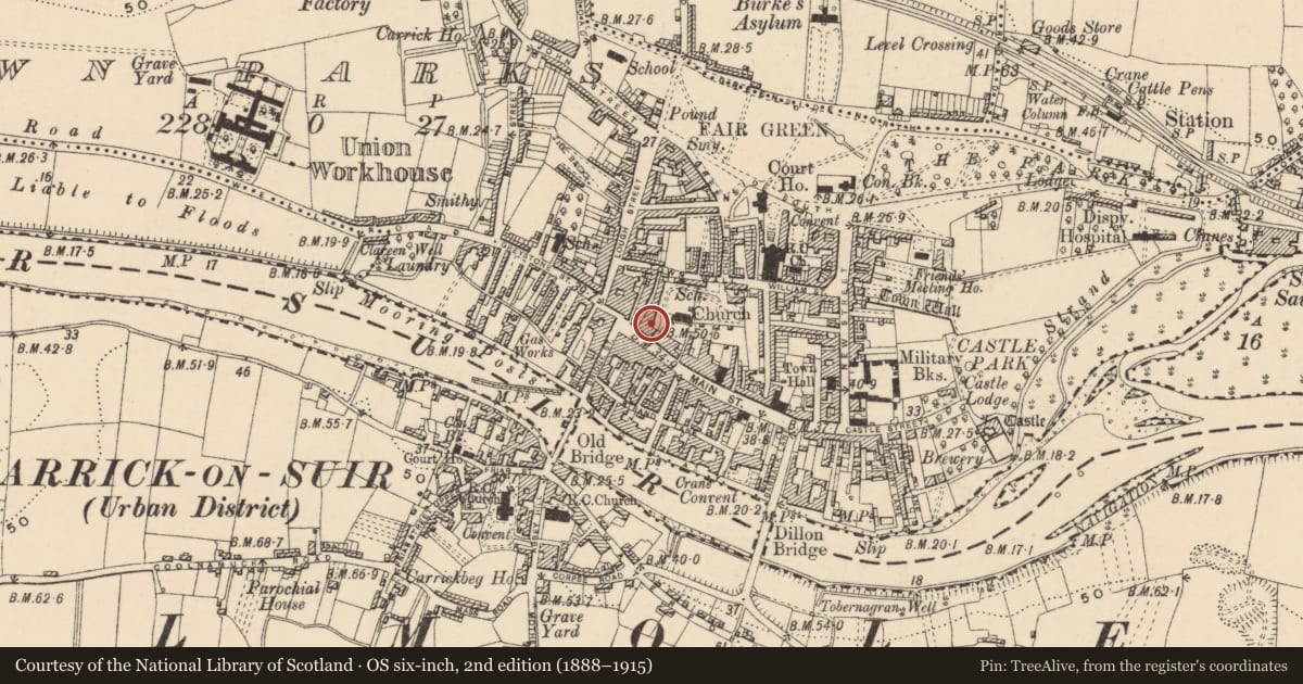Ordnance Survey six-inch map, 2nd edition (1888–1915) covering the location of Graveslab, Town Parks, County Tipperary South, with a pin at the register's coordinates
