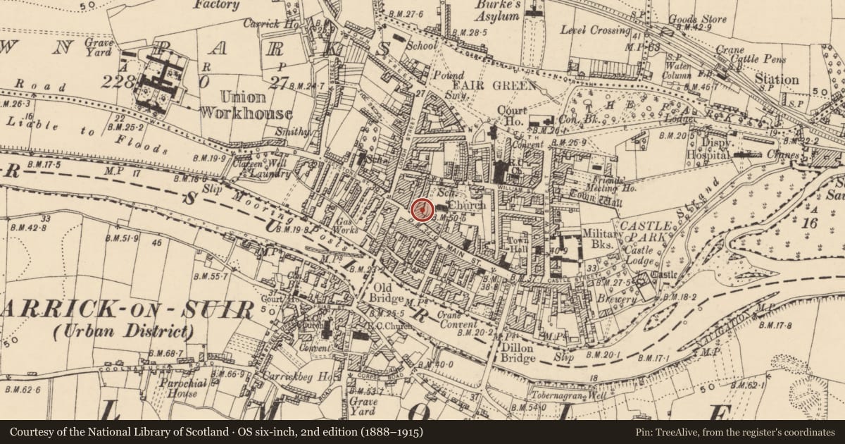 Ordnance Survey six-inch map, 2nd edition (1888–1915) covering the location of Graveslab, Town Parks, County Tipperary South, with a pin at the register's coordinates
