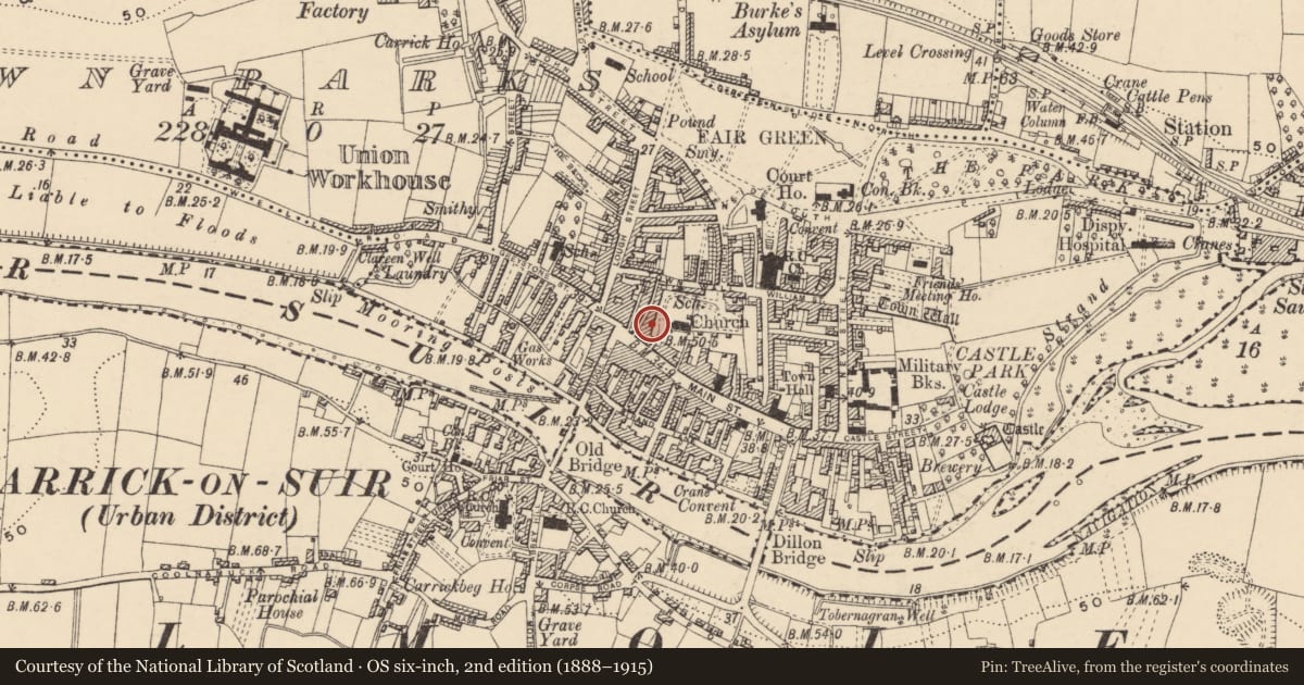 Ordnance Survey six-inch map, 2nd edition (1888–1915) covering the location of Graveslab, Town Parks, County Tipperary South, with a pin at the register's coordinates