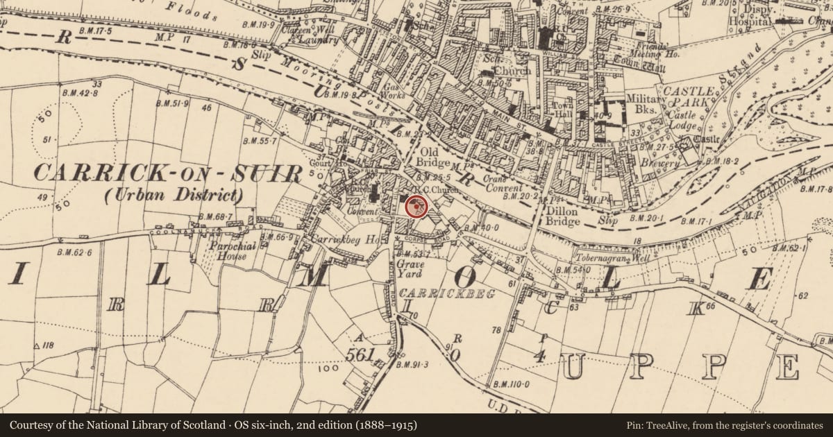 Ordnance Survey six-inch map, 2nd edition (1888–1915) covering the location of Tomb - effigial, Carrickbeg, County Tipperary South, with a pin at the register's coordinates