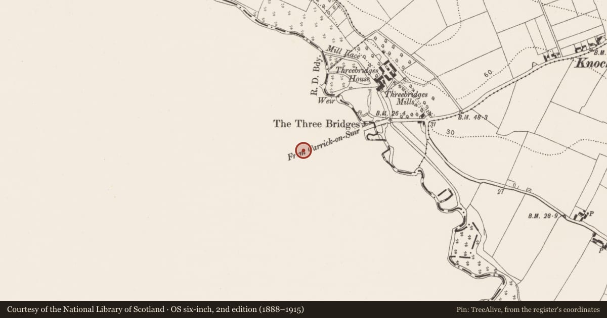 Ordnance Survey six-inch map, 2nd edition (1888–1915) covering the location of Enclosure, Ballylynch, County Tipperary South, with a pin at the register's coordinates