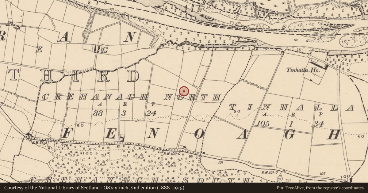 Ordnance Survey six-inch map, 2nd edition (1888–1915) covering the location of Fulacht fia, Crehanagh North, County Tipperary South, with a pin at the register's coordinates