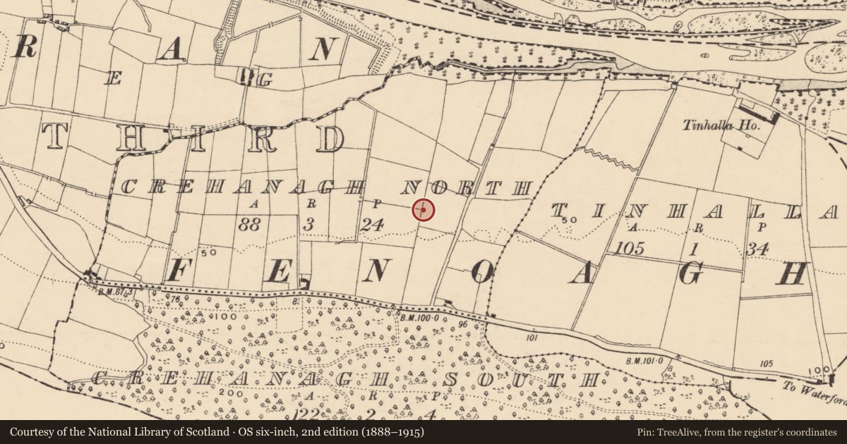 Ordnance Survey six-inch map, 2nd edition (1888–1915) covering the location of Fulacht fia, Crehanagh North, County Tipperary South, with a pin at the register's coordinates