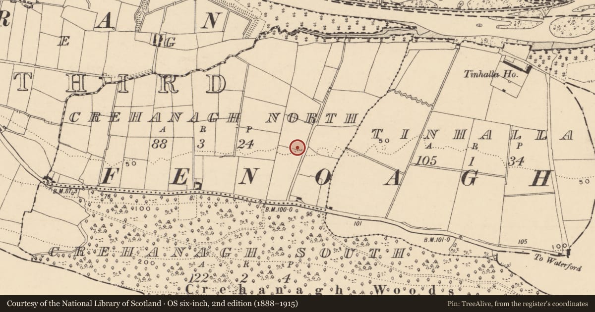 Ordnance Survey six-inch map, 2nd edition (1888–1915) covering the location of Fulacht fia, Crehanagh North, County Tipperary South, with a pin at the register's coordinates