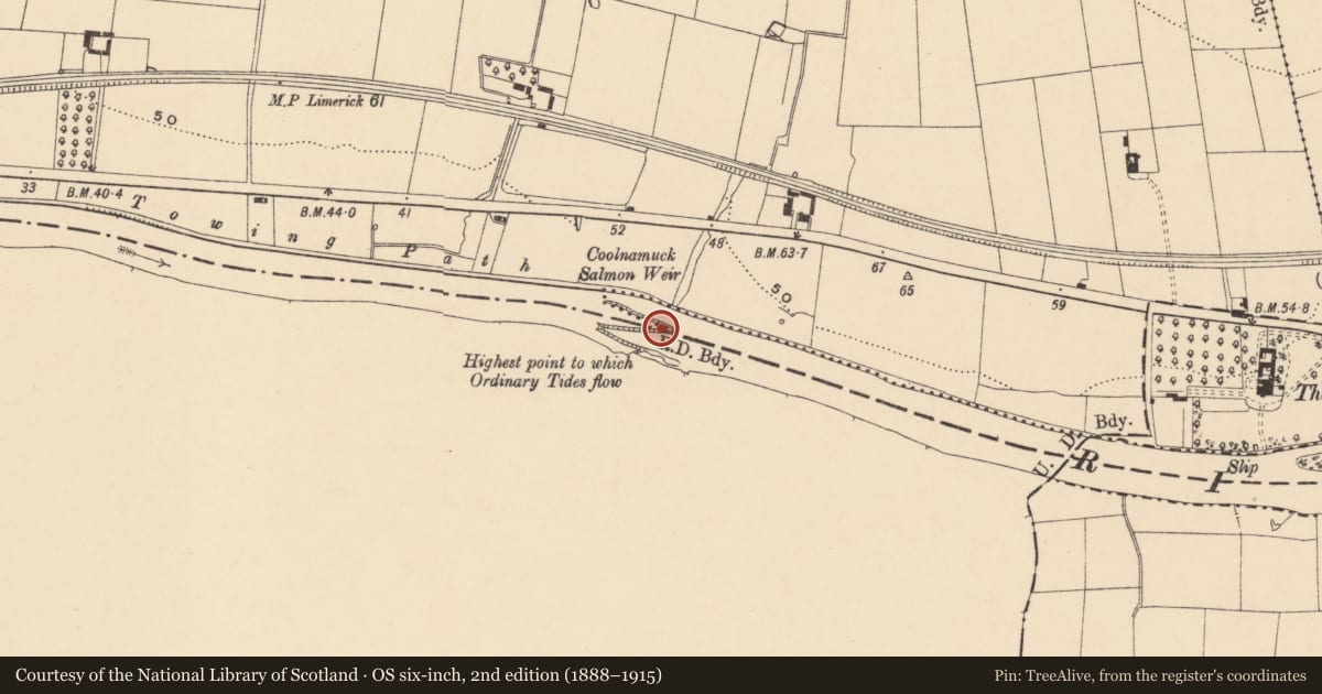 Ordnance Survey six-inch map, 2nd edition (1888–1915) covering the location of Weir - fish, Deerpark (Carrick Par.), County Tipperary South, with a pin at the register's coordinates