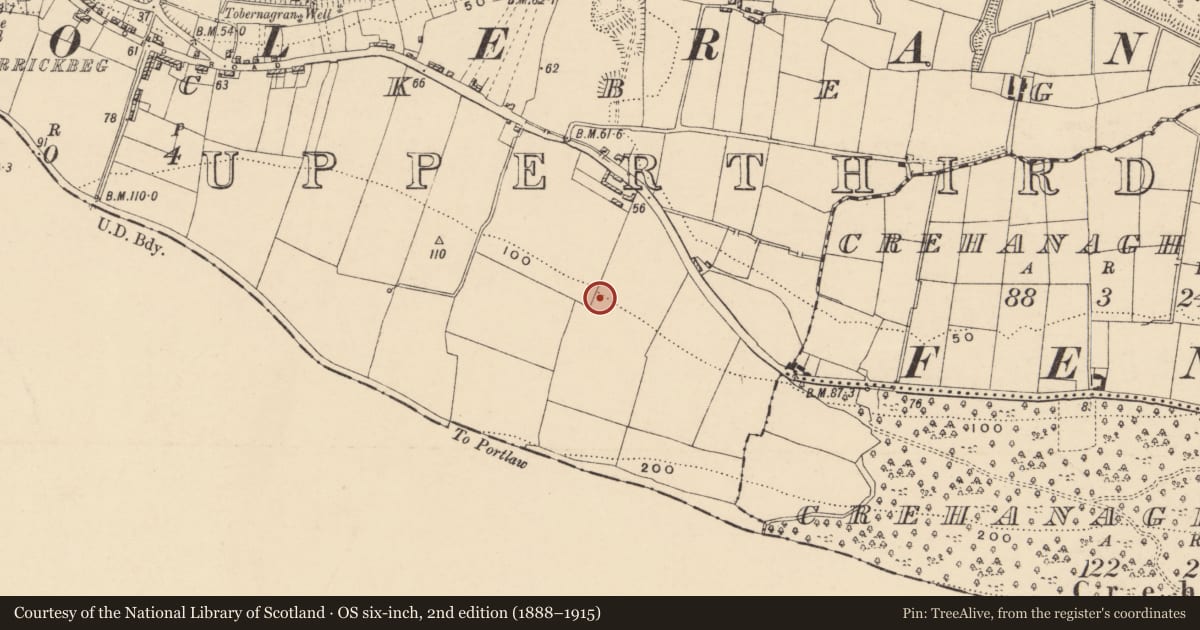 Ordnance Survey six-inch map, 2nd edition (1888–1915) covering the location of Fulacht fia, Carrickbeg, County Tipperary South, with a pin at the register's coordinates