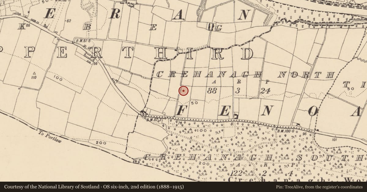 Ordnance Survey six-inch map, 2nd edition (1888–1915) covering the location of Fulacht fia, Crehanagh North, County Tipperary South, with a pin at the register's coordinates