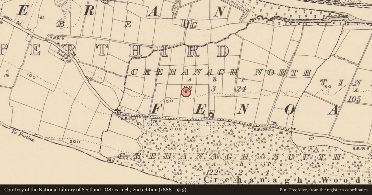 Ordnance Survey six-inch map, 2nd edition (1888–1915) covering the location of Fulacht fia, Crehanagh North, County Tipperary South, with a pin at the register's coordinates