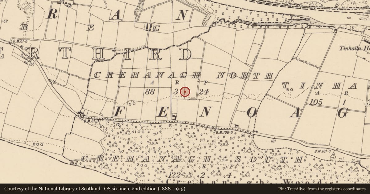 Ordnance Survey six-inch map, 2nd edition (1888–1915) covering the location of Fulacht fia, Crehanagh North, County Tipperary South, with a pin at the register's coordinates