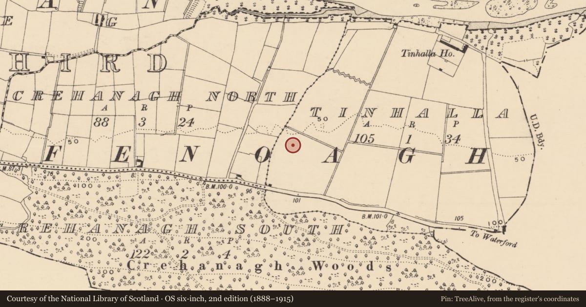 Ordnance Survey six-inch map, 2nd edition (1888–1915) covering the location of Fulacht fia, Tinhalla, County Tipperary South, with a pin at the register's coordinates