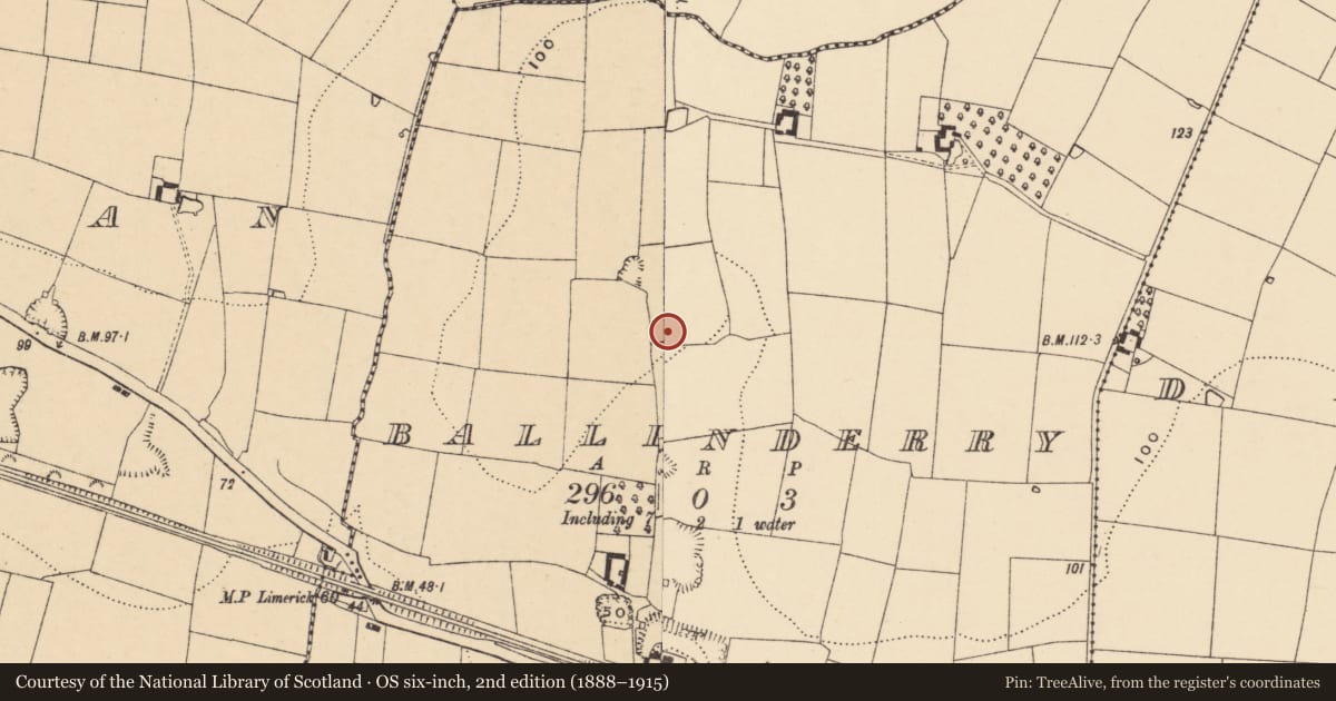 Ordnance Survey six-inch map, 2nd edition (1888–1915) covering the location of Enclosure, Ballinderry (Carrick Par.), County Tipperary South, with a pin at the register's coordinates
