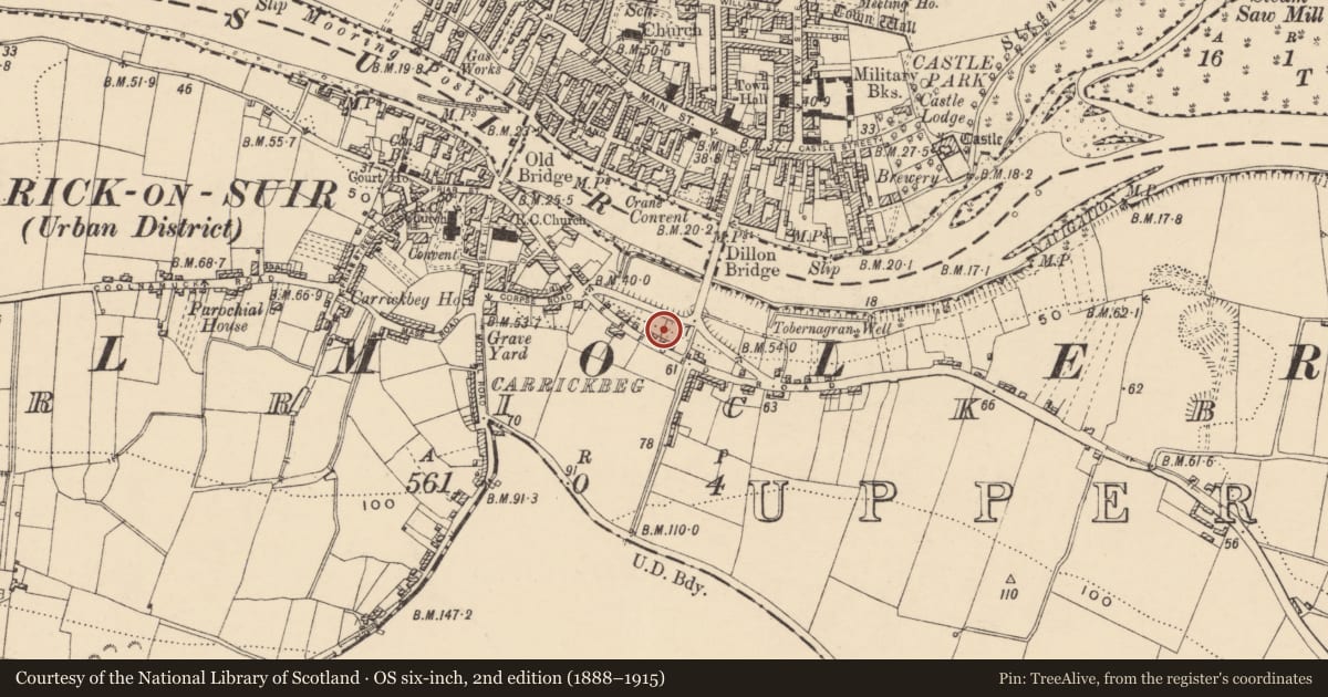 Ordnance Survey six-inch map, 2nd edition (1888–1915) covering the location of Bullaun stone (present location), Carrickbeg, County Tipperary South, with a pin at the register's coordinates