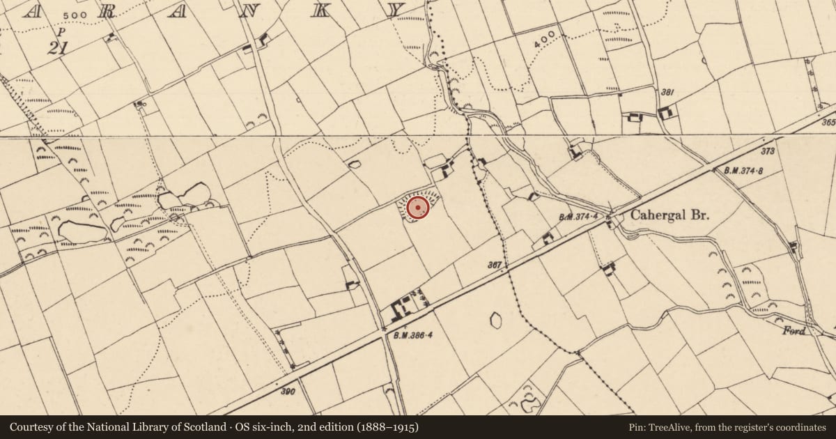 Ordnance Survey six-inch map, 2nd edition (1888–1915) covering the location of Ecclesiastical enclosure, Skeheenaranky, County Tipperary South, with a pin at the register's coordinates