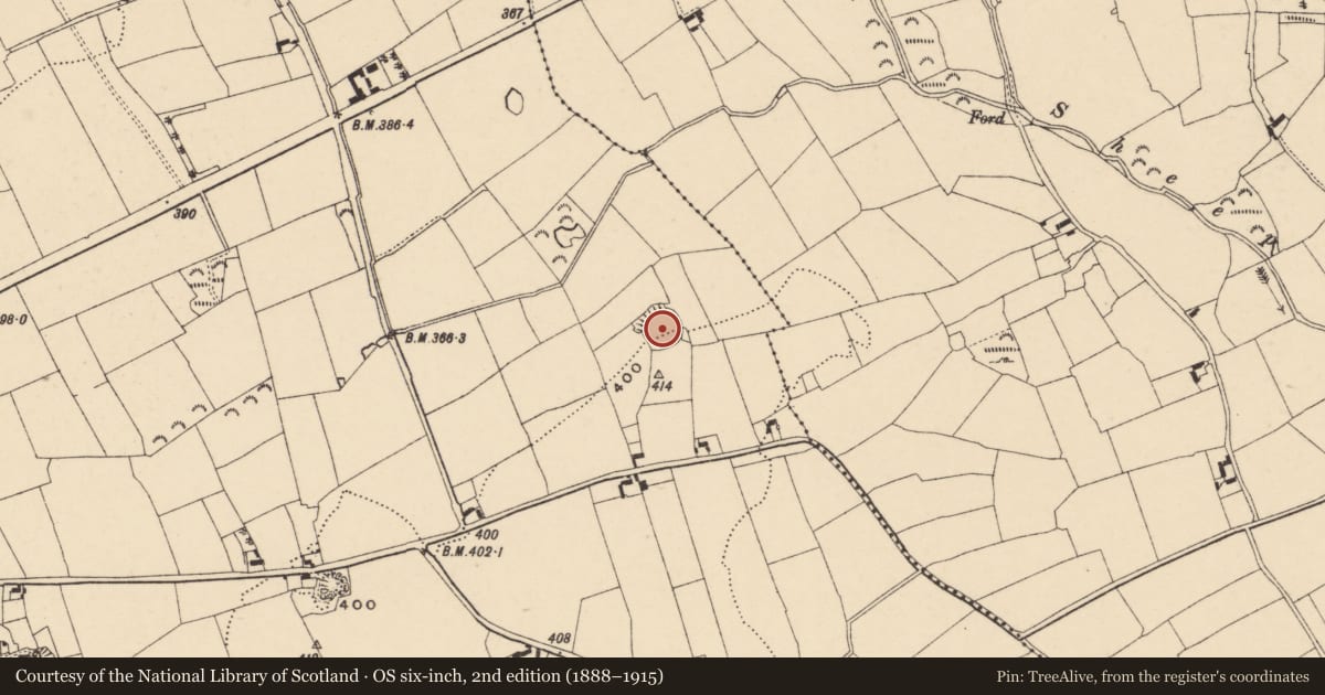 Ordnance Survey six-inch map, 2nd edition (1888–1915) covering the location of Ringfort - rath, Skeheenaranky, County Tipperary South, with a pin at the register's coordinates