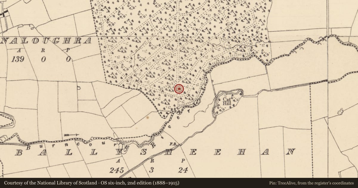 Ordnance Survey six-inch map, 2nd edition (1888–1915) covering the location of Ringfort - rath, Rehill (Shanrahan Par.), County Tipperary South, with a pin at the register's coordinates