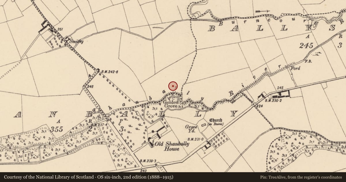 Ordnance Survey six-inch map, 2nd edition (1888–1915) covering the location of Enclosure, Burncourt, County Tipperary South, with a pin at the register's coordinates