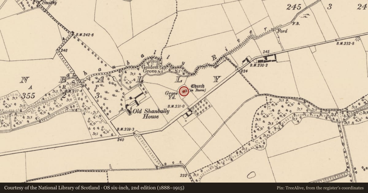 Ordnance Survey six-inch map, 2nd edition (1888–1915) covering the location of Church, Shanbally (Shanrahan Par.), County Tipperary South, with a pin at the register's coordinates