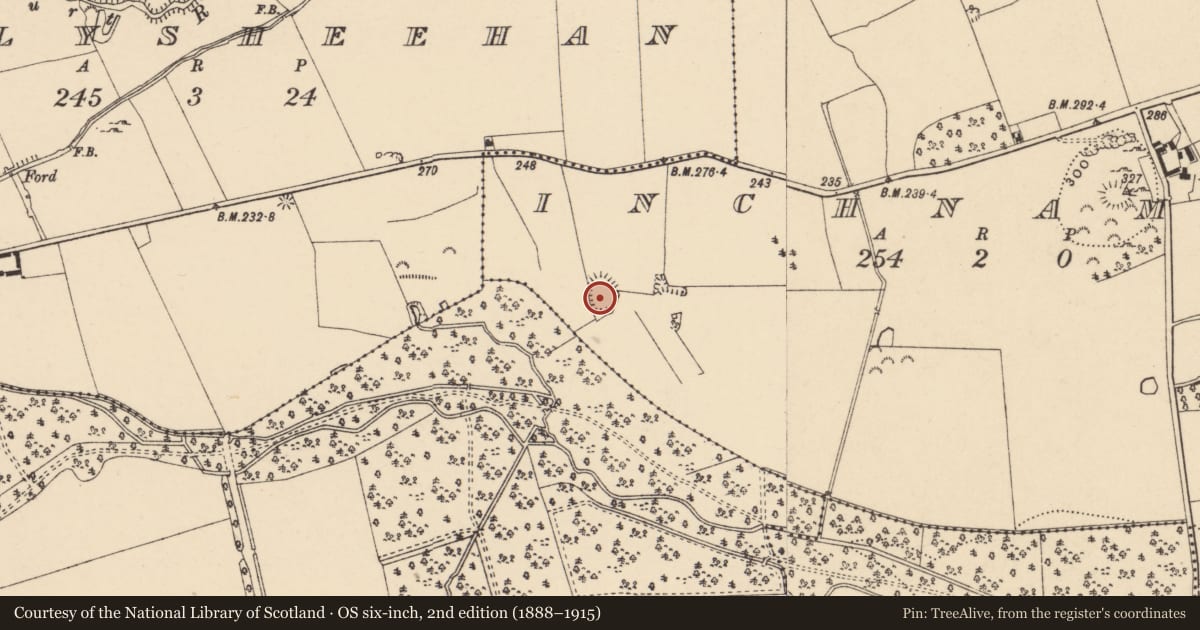 Ordnance Survey six-inch map, 2nd edition (1888–1915) covering the location of Enclosure, Inchnamuck, County Tipperary South, with a pin at the register's coordinates