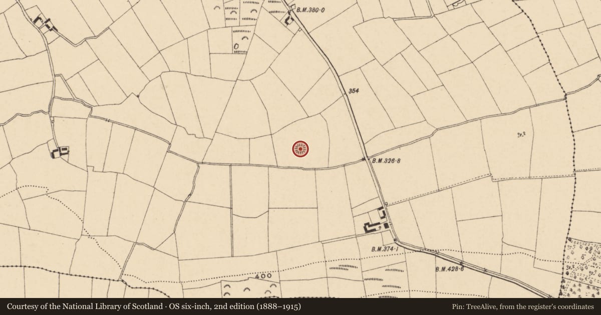 Ordnance Survey six-inch map, 2nd edition (1888–1915) covering the location of Enclosure, Skeheenaranky, County Tipperary South, with a pin at the register's coordinates