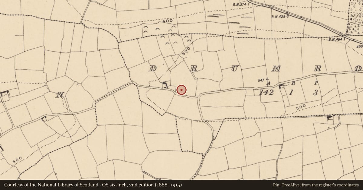 Ordnance Survey six-inch map, 2nd edition (1888–1915) covering the location of Enclosure, Drumroe (Templetenny Par.), County Tipperary South, with a pin at the register's coordinates