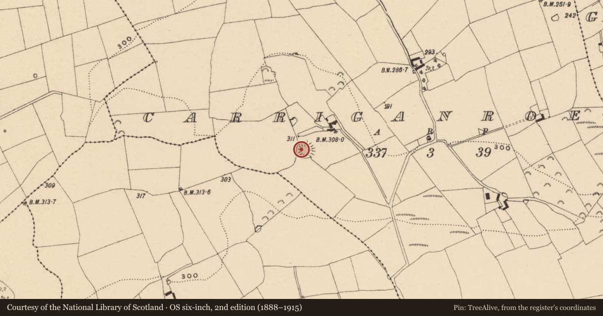 Ordnance Survey six-inch map, 2nd edition (1888–1915) covering the location of Ringfort - rath, Carriganroe, County Tipperary South, with a pin at the register's coordinates