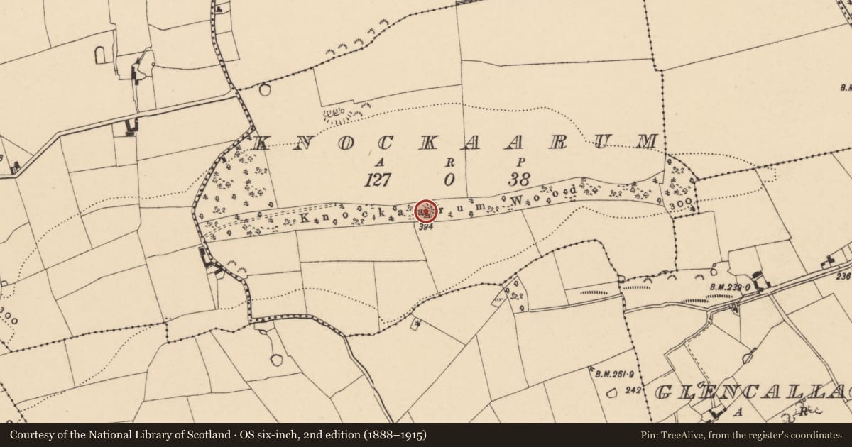 Ordnance Survey six-inch map, 2nd edition (1888–1915) covering the location of Enclosure, Knockaarum, County Tipperary South, with a pin at the register's coordinates