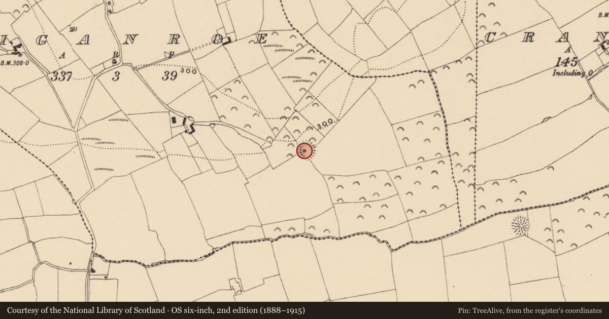 Ordnance Survey six-inch map, 2nd edition (1888–1915) covering the location of Ringfort - rath, Carriganroe, County Tipperary South, with a pin at the register's coordinates