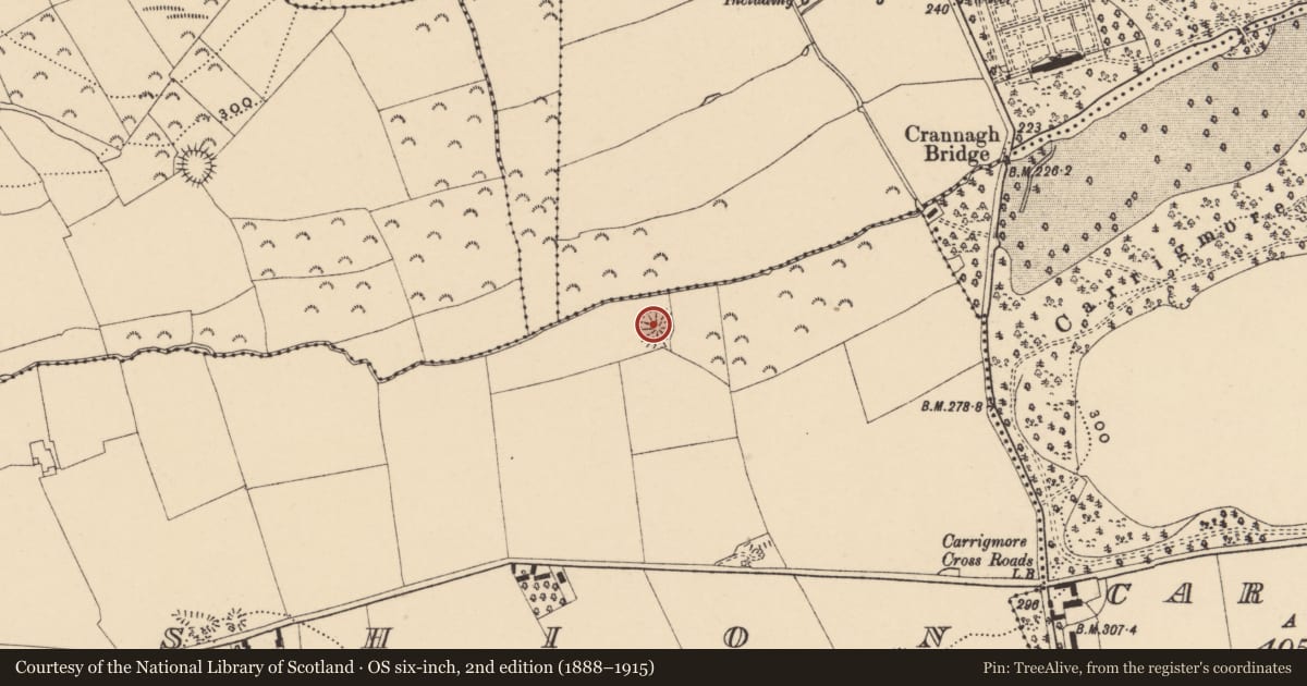 Ordnance Survey six-inch map, 2nd edition (1888–1915) covering the location of Ringfort - rath, Lisfunshion, County Tipperary South, with a pin at the register's coordinates