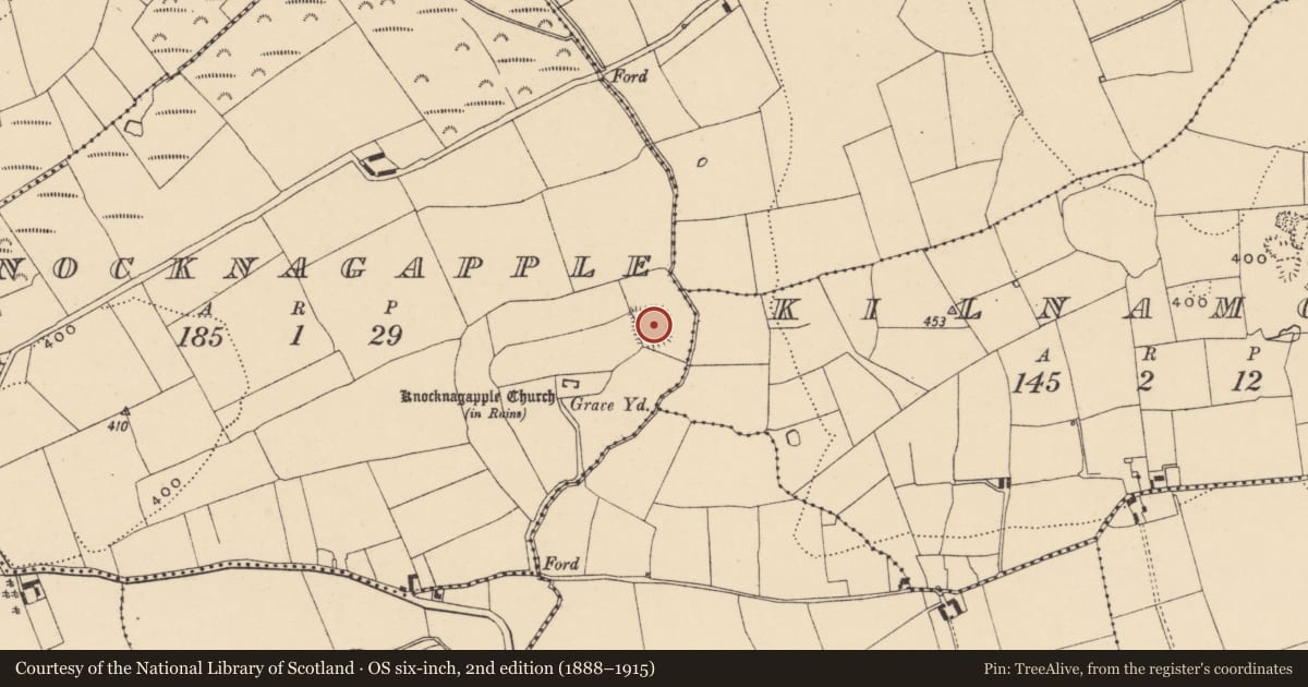 Ordnance Survey six-inch map, 2nd edition (1888–1915) covering the location of Castle - ringwork, Knocknagapple (Templetenny Par.), County Tipperary South, with a pin at the register's coordinates