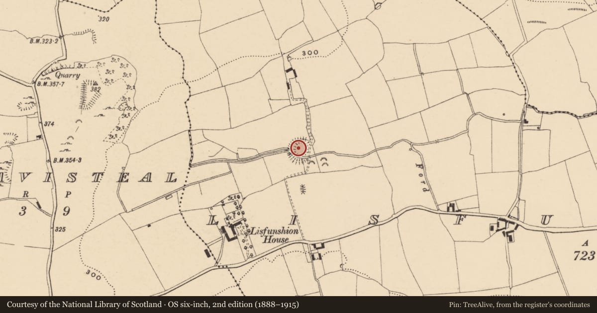Ordnance Survey six-inch map, 2nd edition (1888–1915) covering the location of Ringfort - rath, Lisfunshion, County Tipperary South, with a pin at the register's coordinates