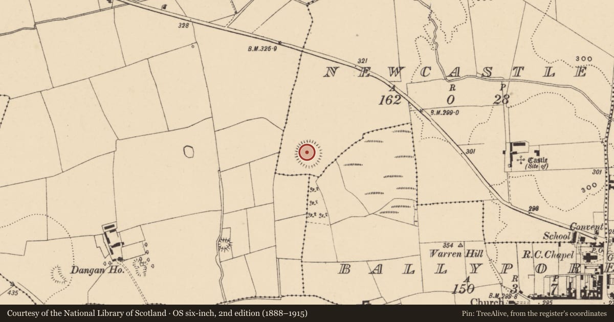 Ordnance Survey six-inch map, 2nd edition (1888–1915) covering the location of Enclosure, Newcastle, County Tipperary South, with a pin at the register's coordinates