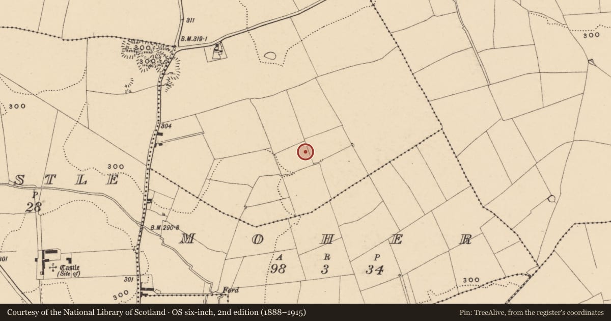Ordnance Survey six-inch map, 2nd edition (1888–1915) covering the location of Fulacht fia, Carrigavisteal, County Tipperary South, with a pin at the register's coordinates