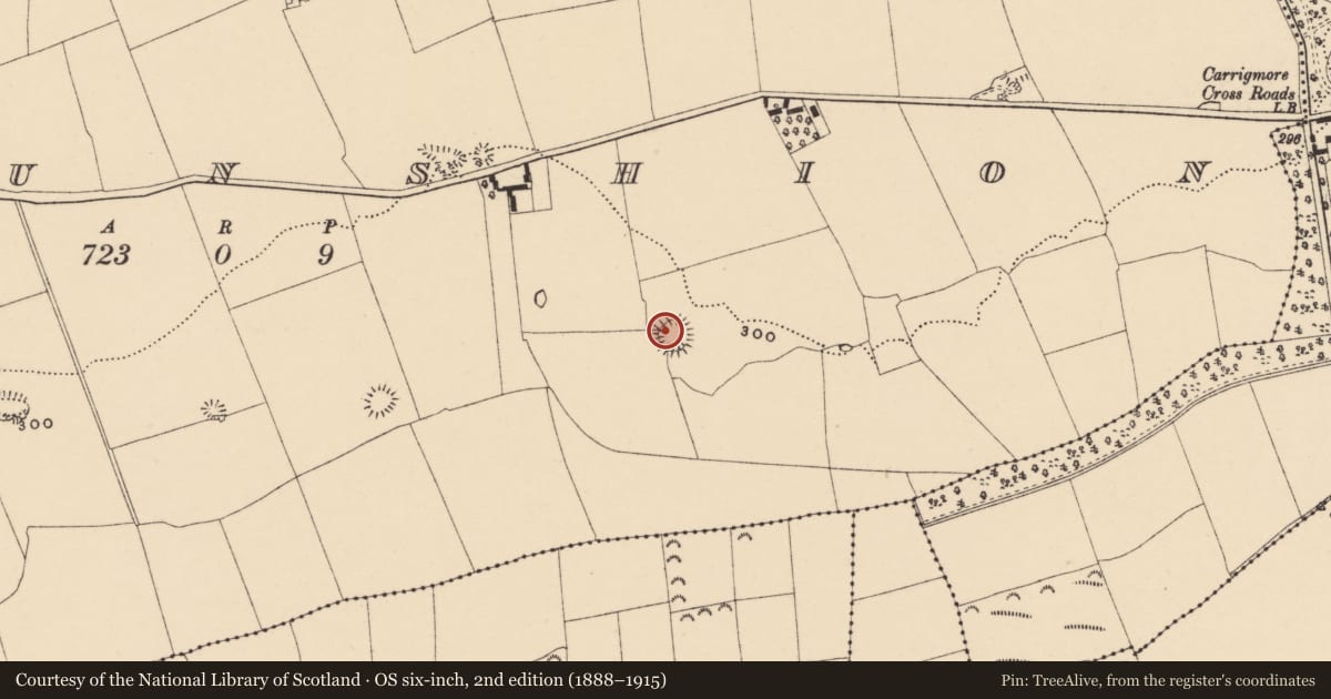 Ordnance Survey six-inch map, 2nd edition (1888–1915) covering the location of Ringfort - rath, Lisfunshion, County Tipperary South, with a pin at the register's coordinates