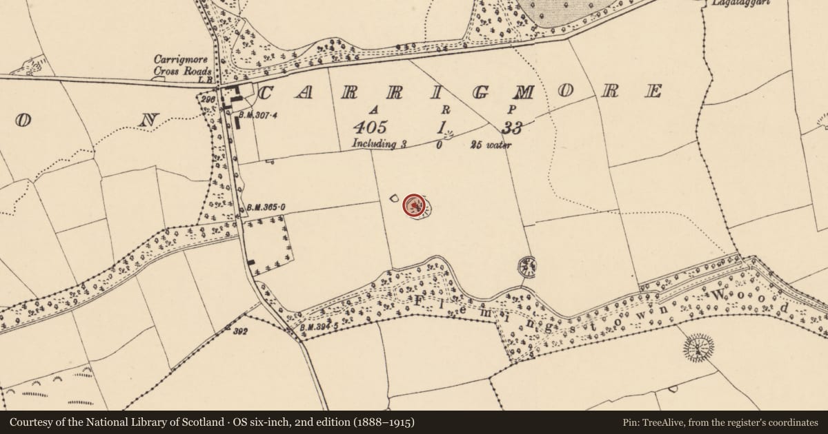 Ordnance Survey six-inch map, 2nd edition (1888–1915) covering the location of Ringfort - rath, Carrigmore, County Tipperary South, with a pin at the register's coordinates