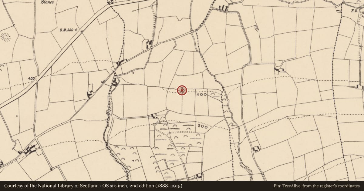 Ordnance Survey six-inch map, 2nd edition (1888–1915) covering the location of Ritual site - holy well, Curraleigh West, County Tipperary South, with a pin at the register's coordinates