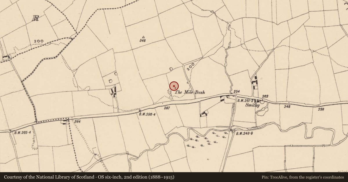 Ordnance Survey six-inch map, 2nd edition (1888–1915) covering the location of Ritual site - holy tree/bush, Kilcarroon, County Tipperary South, with a pin at the register's coordinates