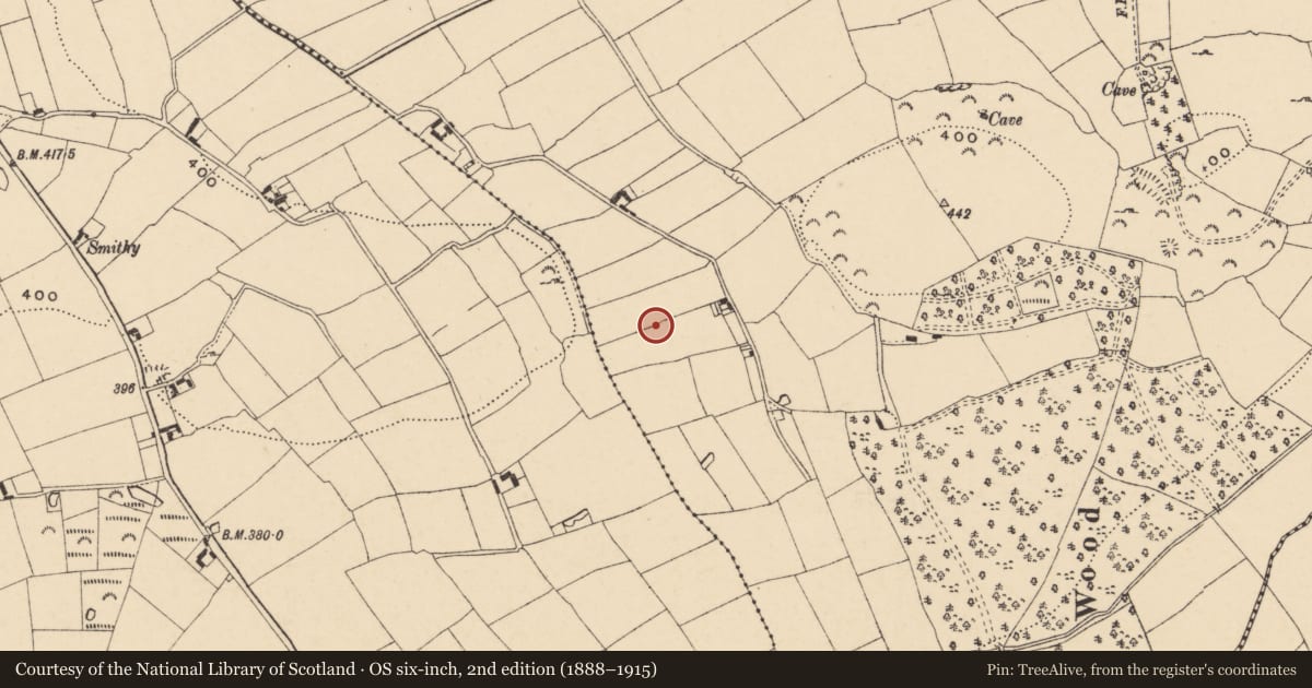 Ordnance Survey six-inch map, 2nd edition (1888–1915) covering the location of Earthwork, Coolagarranroe, County Tipperary South, with a pin at the register's coordinates