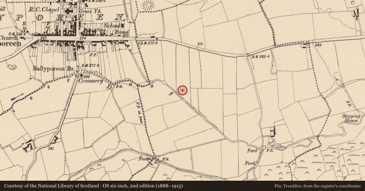 Ordnance Survey six-inch map, 2nd edition (1888–1915) covering the location of Enclosure, Gorteeshal, County Tipperary South, with a pin at the register's coordinates