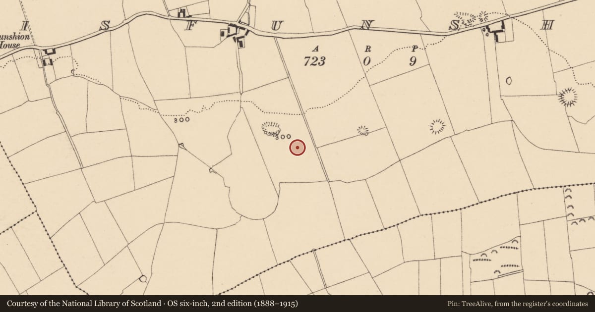 Ordnance Survey six-inch map, 2nd edition (1888–1915) covering the location of Enclosure, Lisfunshion, County Tipperary South, with a pin at the register's coordinates