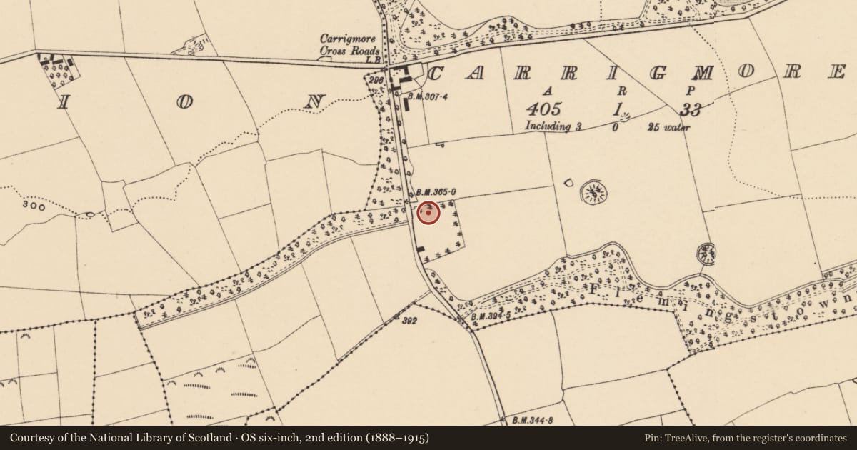 Ordnance Survey six-inch map, 2nd edition (1888–1915) covering the location of Enclosure, Carrigmore, County Tipperary South, with a pin at the register's coordinates