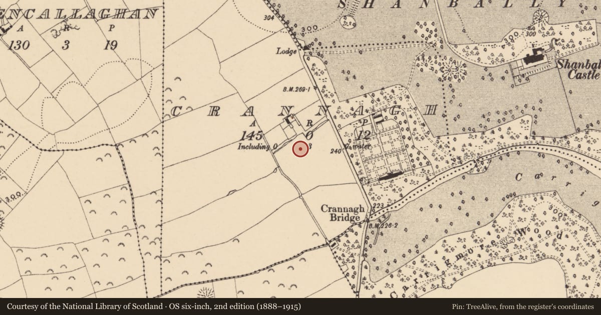Ordnance Survey six-inch map, 2nd edition (1888–1915) covering the location of Enclosure, Crannagh (Shanrahan Par.), County Tipperary South, with a pin at the register's coordinates