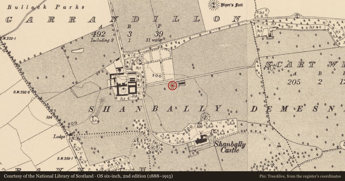 Ordnance Survey six-inch map, 2nd edition (1888–1915) covering the location of Ringfort - rath, Garrandillon, County Tipperary South, with a pin at the register's coordinates