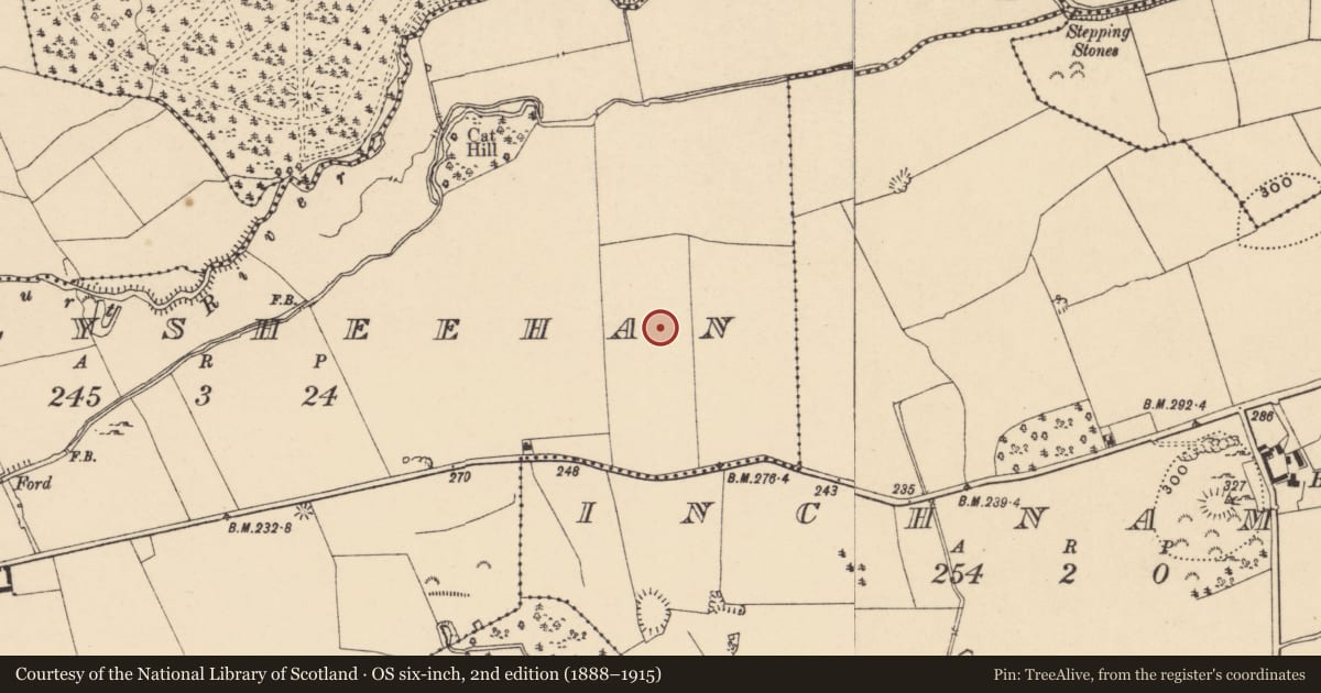 Ordnance Survey six-inch map, 2nd edition (1888–1915) covering the location of Enclosure, Ballysheehan (Shanrahan Par.), County Tipperary South, with a pin at the register's coordinates