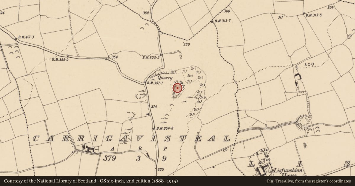 Ordnance Survey six-inch map, 2nd edition (1888–1915) covering the location of Enclosure, Carrigavisteal, County Tipperary South, with a pin at the register's coordinates
