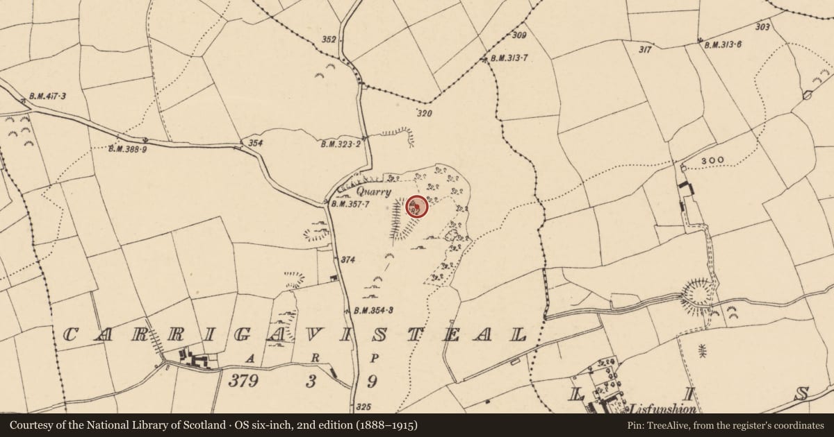 Ordnance Survey six-inch map, 2nd edition (1888–1915) covering the location of Enclosure, Carrigavisteal, County Tipperary South, with a pin at the register's coordinates
