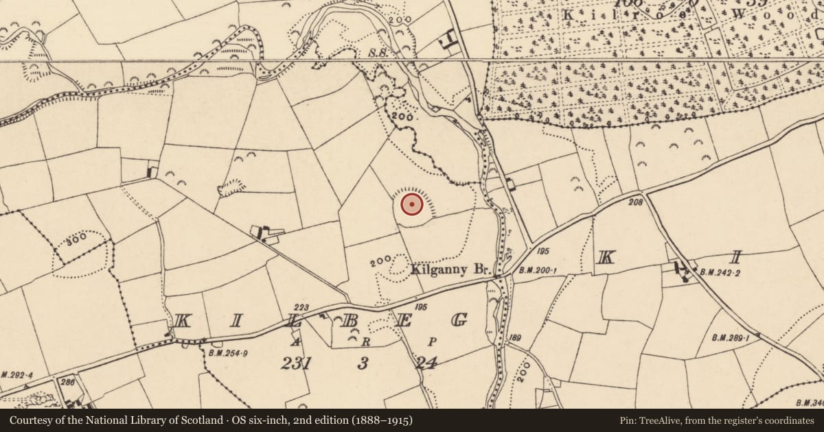 Ordnance Survey six-inch map, 2nd edition (1888–1915) covering the location of Hilltop enclosure, Kilbeg (Shanrahan Par.), County Tipperary South, with a pin at the register's coordinates