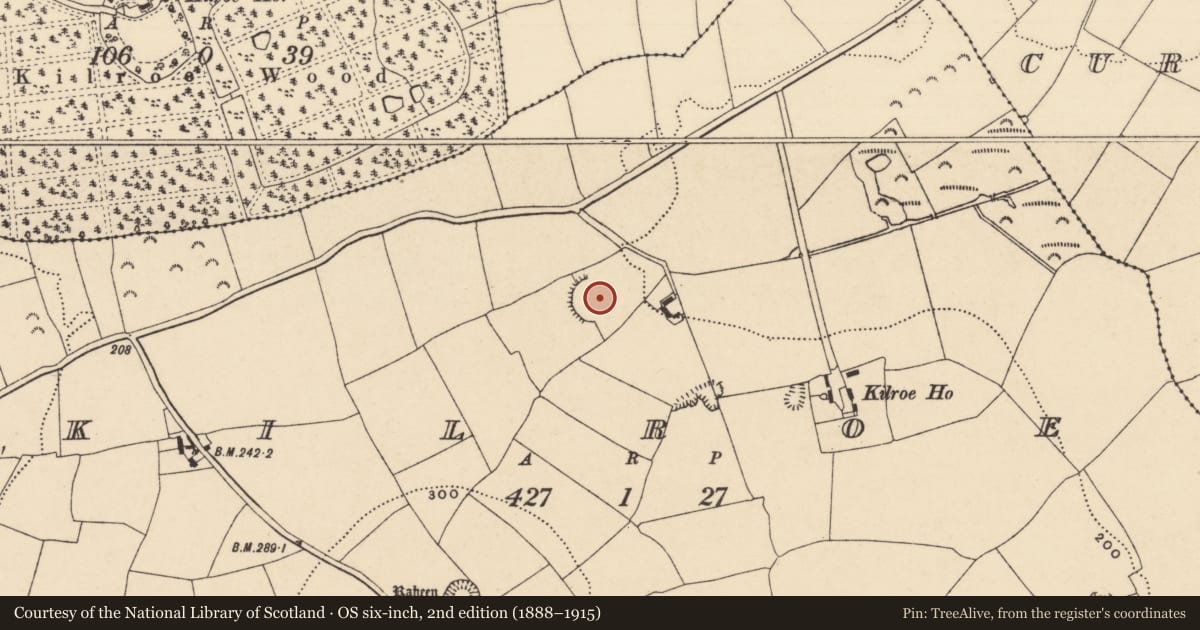 Ordnance Survey six-inch map, 2nd edition (1888–1915) covering the location of Enclosure, Kilroe, County Tipperary South, with a pin at the register's coordinates