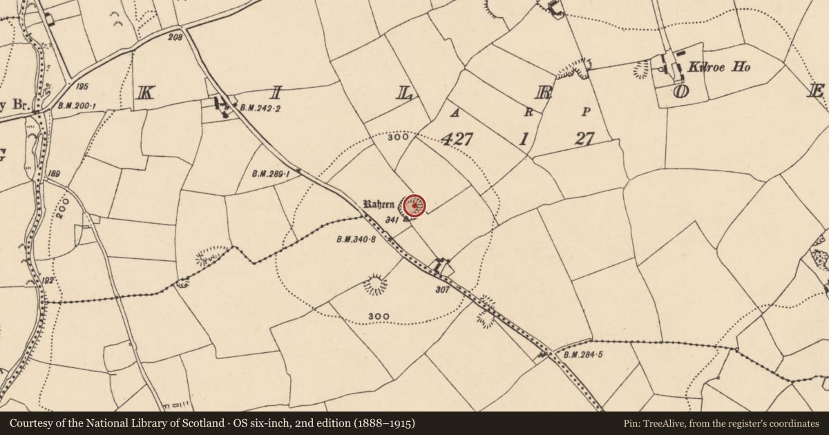 Ordnance Survey six-inch map, 2nd edition (1888–1915) covering the location of Ringfort - rath, Kilroe, County Tipperary South, with a pin at the register's coordinates