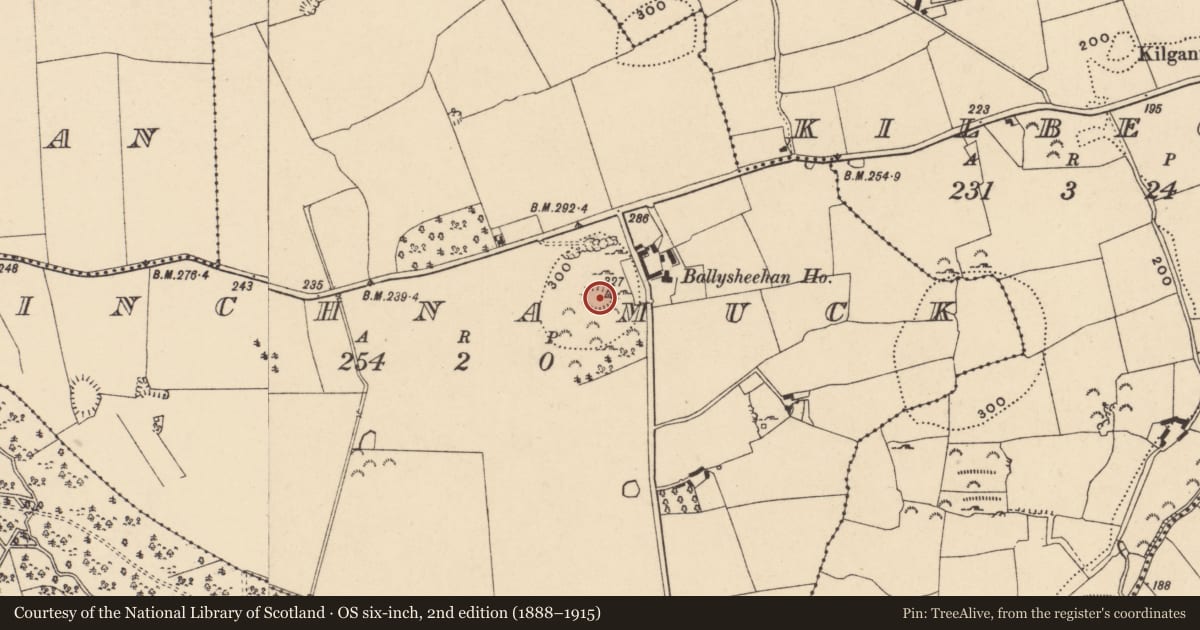Ordnance Survey six-inch map, 2nd edition (1888–1915) covering the location of Enclosure, Inchnamuck, County Tipperary South, with a pin at the register's coordinates