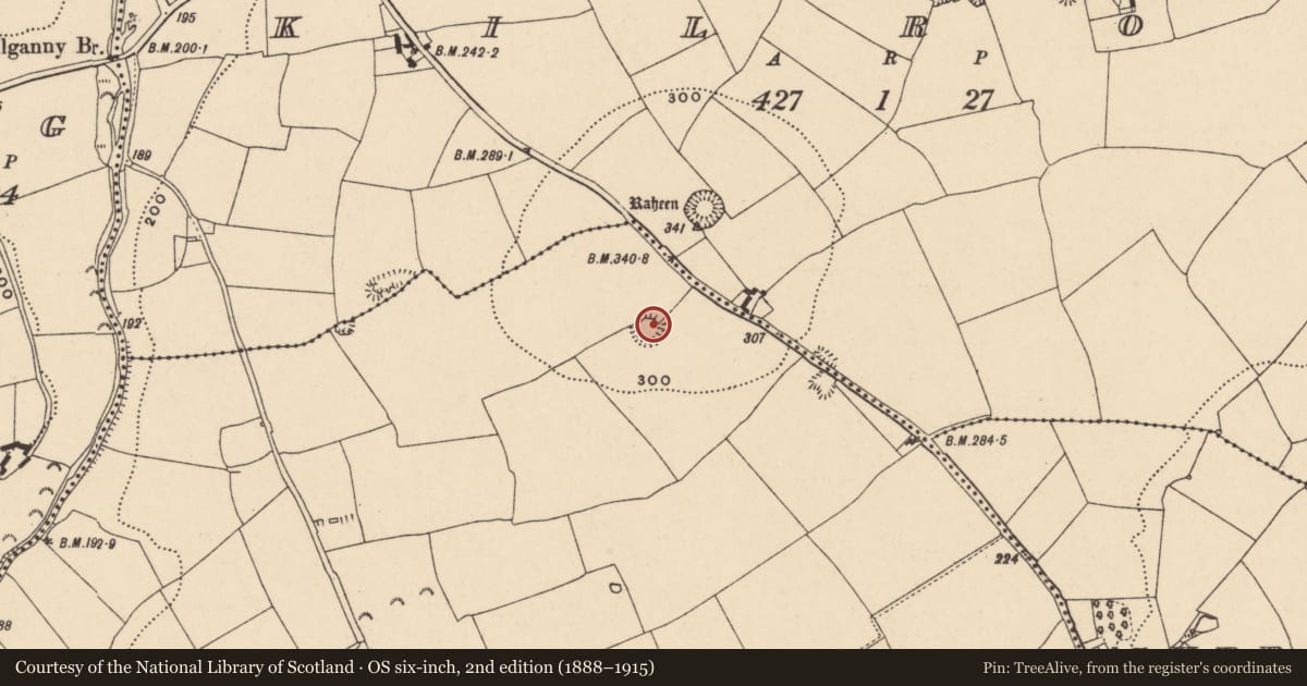 Ordnance Survey six-inch map, 2nd edition (1888–1915) covering the location of Ringfort - rath, Drumlummin, County Tipperary South, with a pin at the register's coordinates